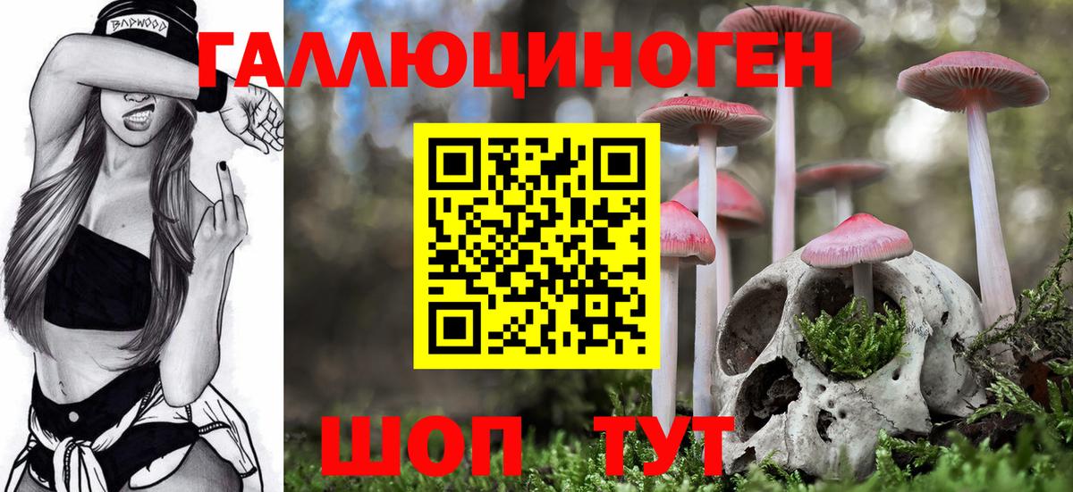 купить   Псилоцибиновые грибы Psilocybe  Вход с VPN  Псилоцибиновые грибы GOLDEN TEACHER  Берёзовский 