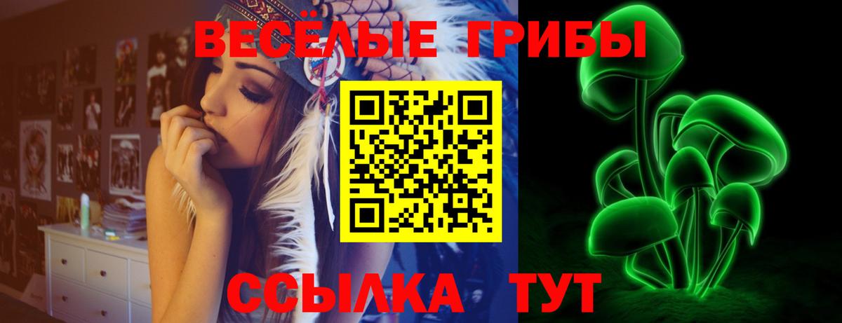 Галлюциногенные грибы мицелий  Берёзовский 